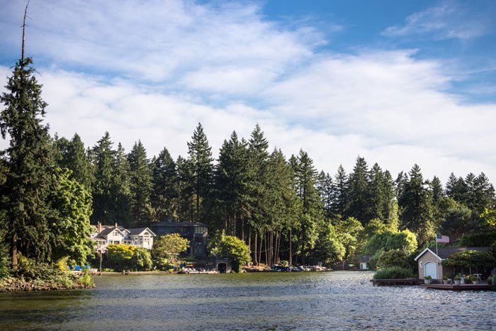 house in forest
